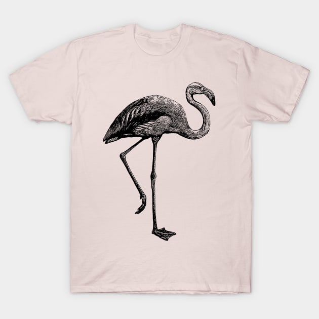 Flamingo Fan, Vintage Flamingo, Flamingo Art T-Shirt by penandinkdesign@hotmail.com